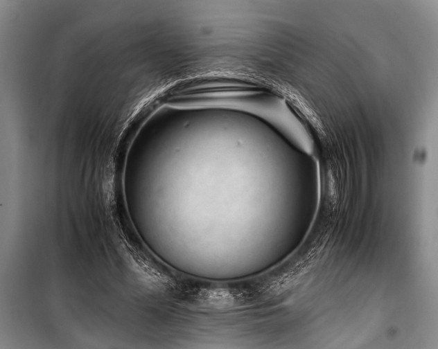 X0000101170588200806271036