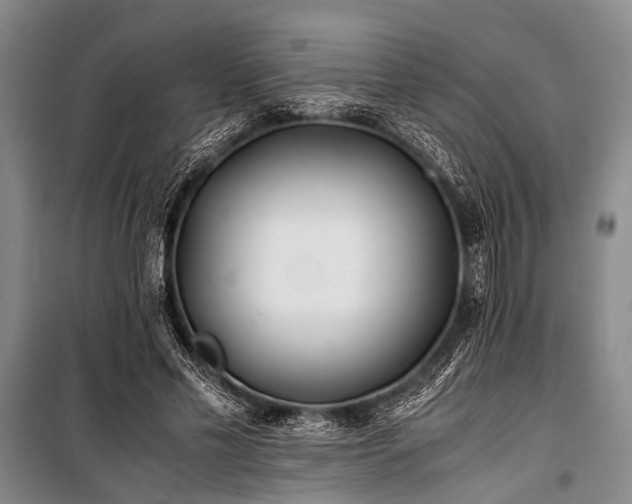 X0000101170589200806271036