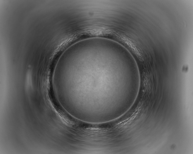 X0000101170590200806271036
