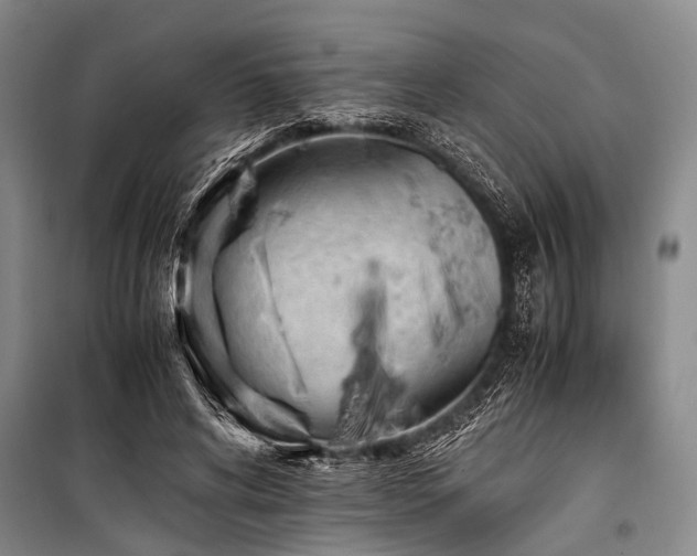X0000101170592200806271036