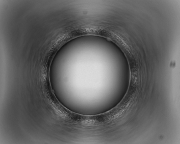X0000101170593200806271036