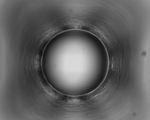 X0000101170594200806271036