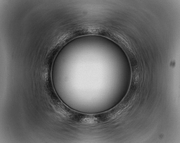 X0000101170595200806271036