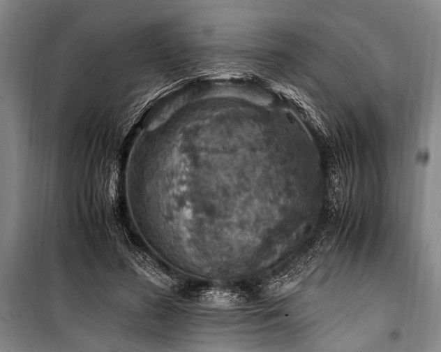 X0000101170596200806271036