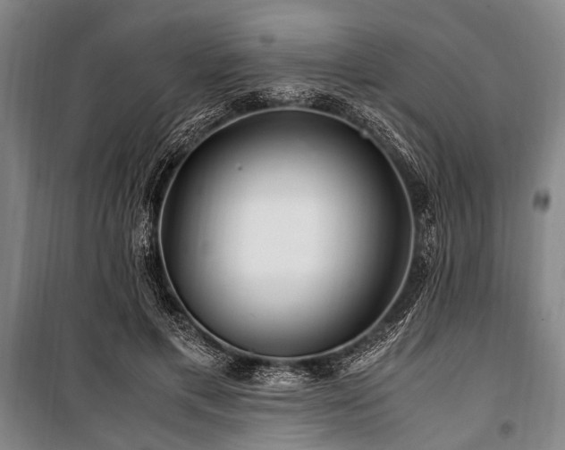 X0000101170597200806271036