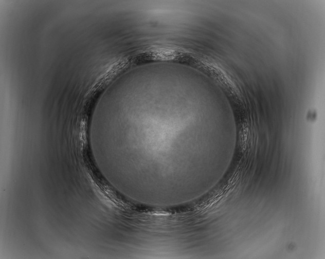 X0000101170598200806271036
