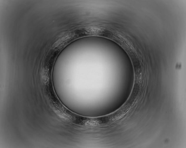 X0000101170599200806271036