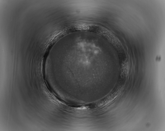 X0000101170600200806271036
