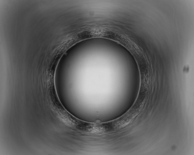 X0000101170601200806271036