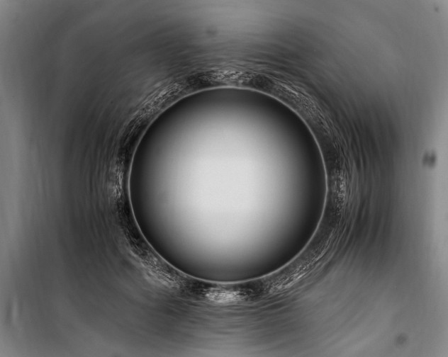 X0000101170602200806271036