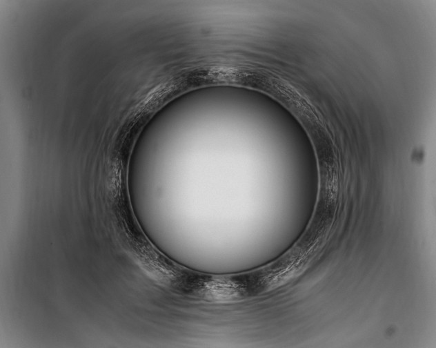 X0000101170603200806271036