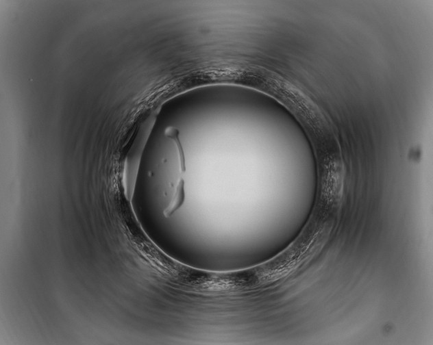 X0000101170604200806271036