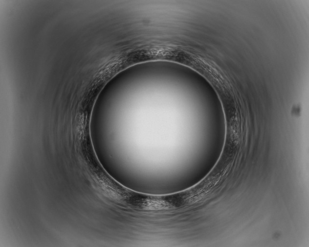 X0000101170605200806271036