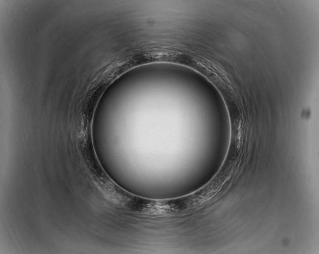 X0000101170607200806271036
