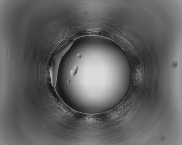 X0000101170608200806271036