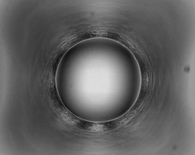 X0000101170609200806271036