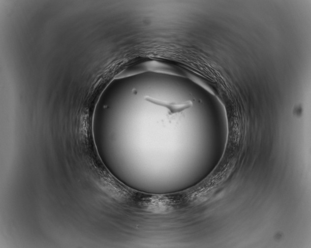 X0000101170612200806271036