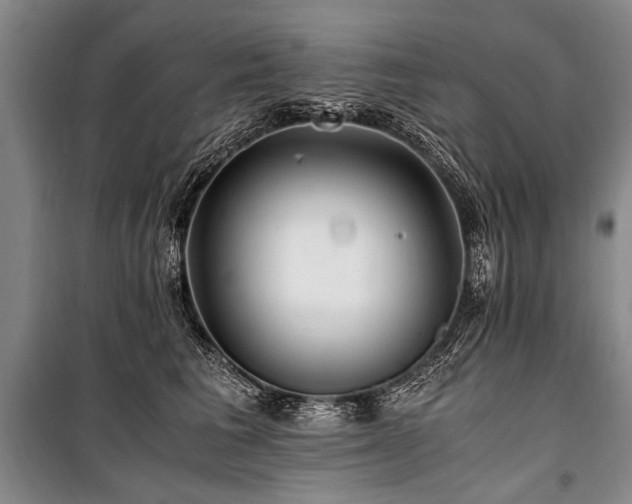 X0000101170613200806271036