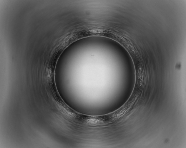 X0000101170614200806271036