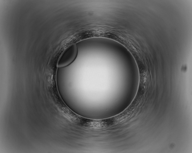 X0000101170615200806271036