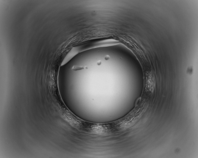 X0000101170616200806271036