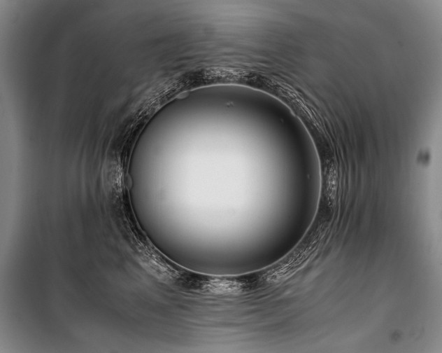X0000101170617200806271036