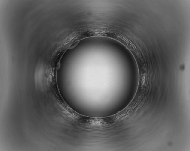 X0000101170618200806271036