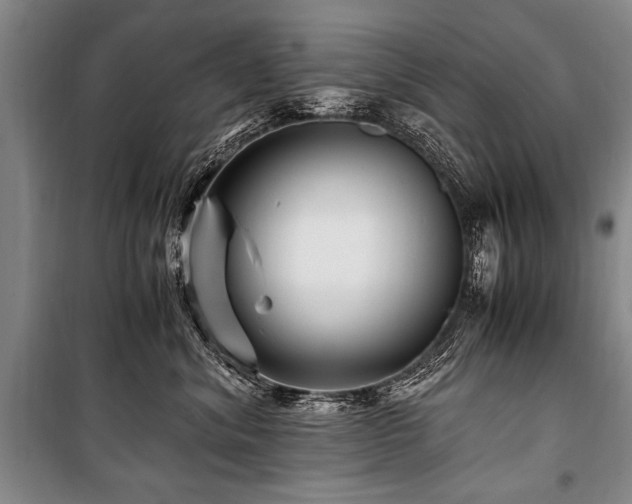 X0000101170620200806271036