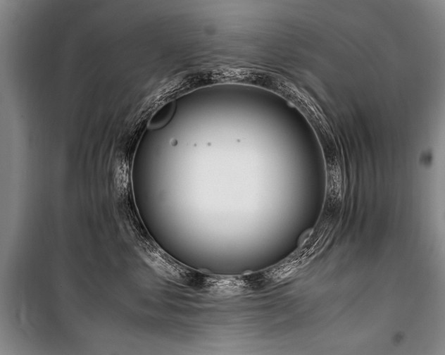 X0000101170621200806271036