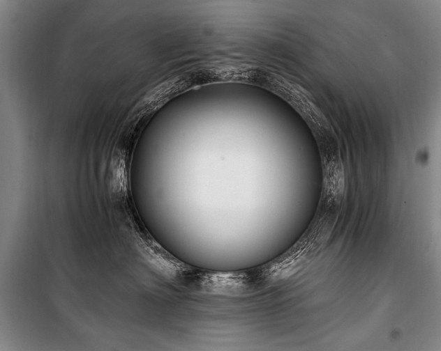 X0000101170622200806271036