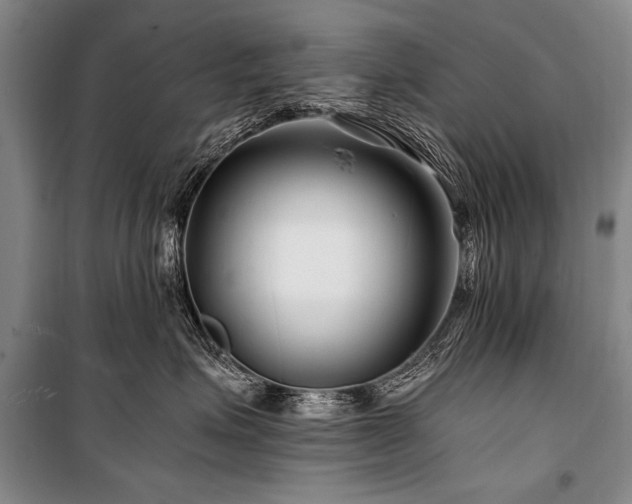 X0000101170623200806271036
