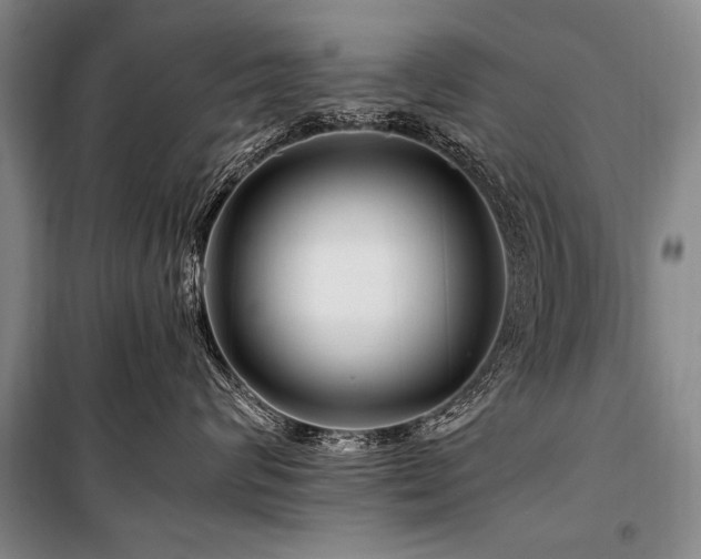X0000101170624200806271036