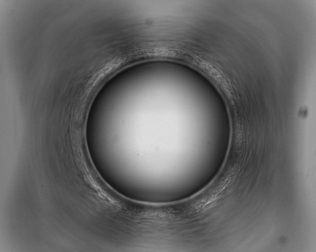 X0000101170625200806271035