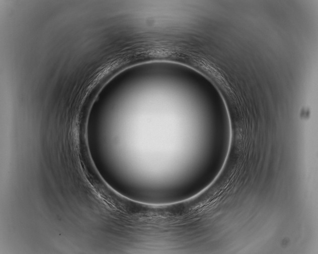 X0000101170626200806271035