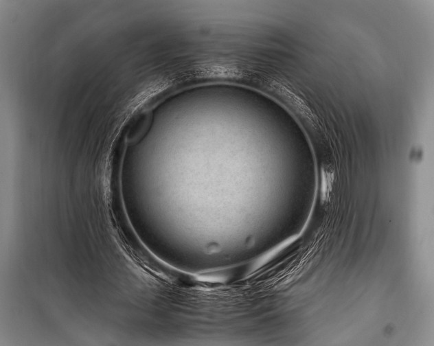X0000101170627200806271035