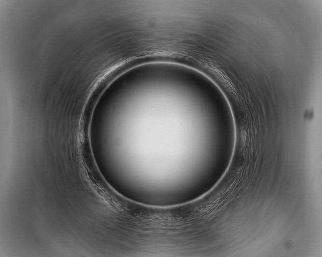 X0000101170628200806271035