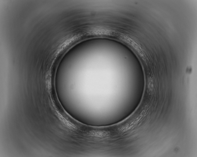 X0000101170629200806271035