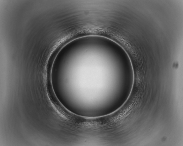 X0000101170630200806271035