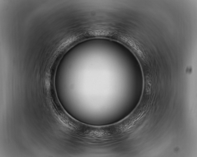 X0000101170631200806271035