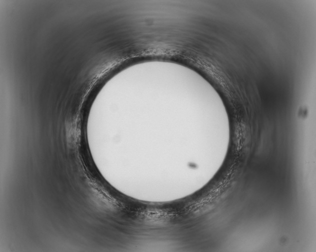 X0000101170632200806271035