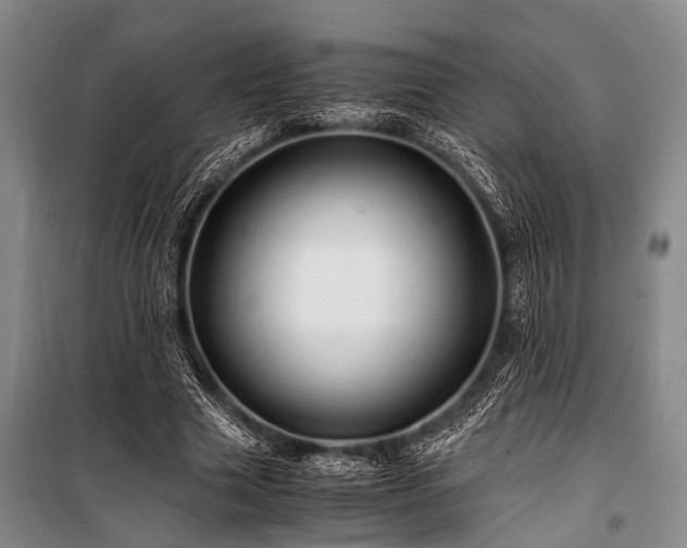 X0000101170633200806271035