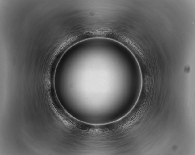 X0000101170634200806271035
