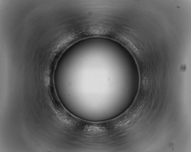 X0000101170635200806271035