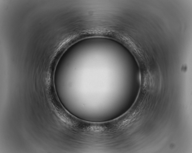 X0000101170636200806271035