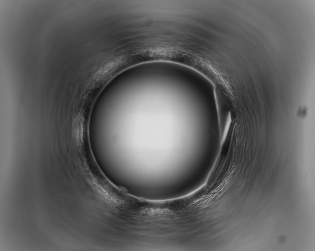 X0000101170637200806271035