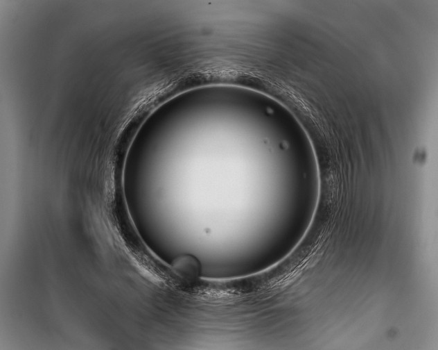 X0000101170638200806271035