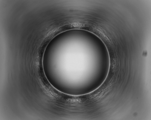 X0000101170639200806271035