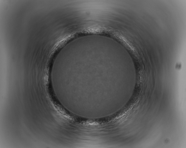 X0000101170640200806271035