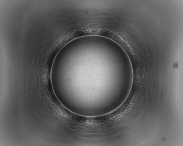 X0000101170641200806271035
