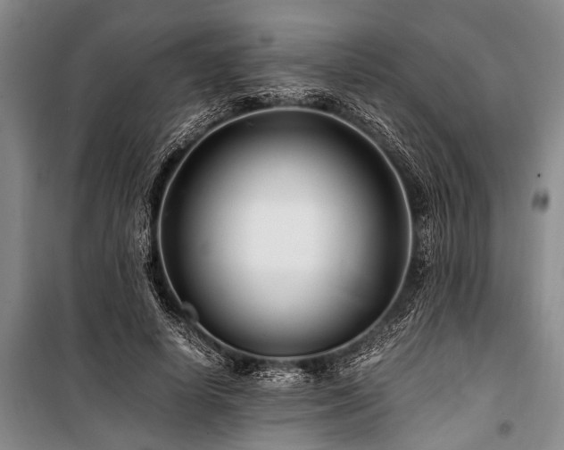 X0000101170642200806271035